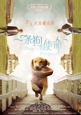 亚洲精品123区