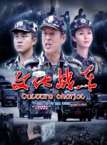 亚洲精品乱码久久久久久v