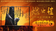 菠萝在线观看高清电视剧免费