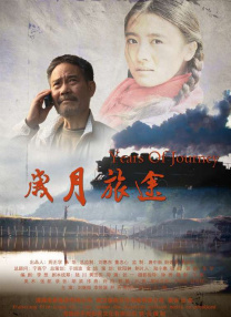 亚洲精品456在线播放无广告