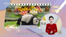 岛国不卡